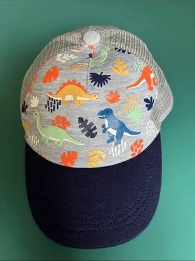 No Brand boy’s dinosaur ball cap.